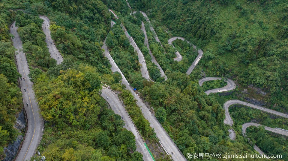 DJI_20240922093650_0247_D