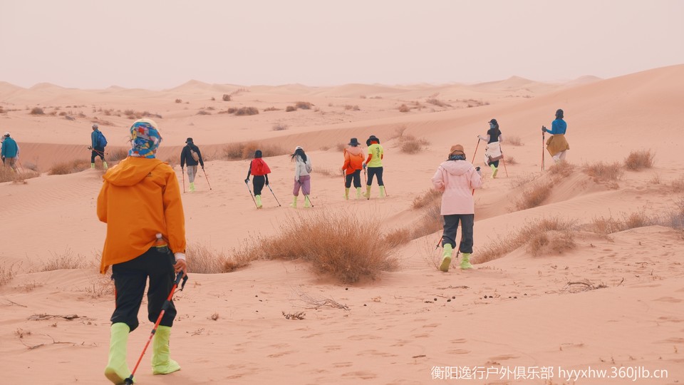 微信图片_20260407152831_416_5