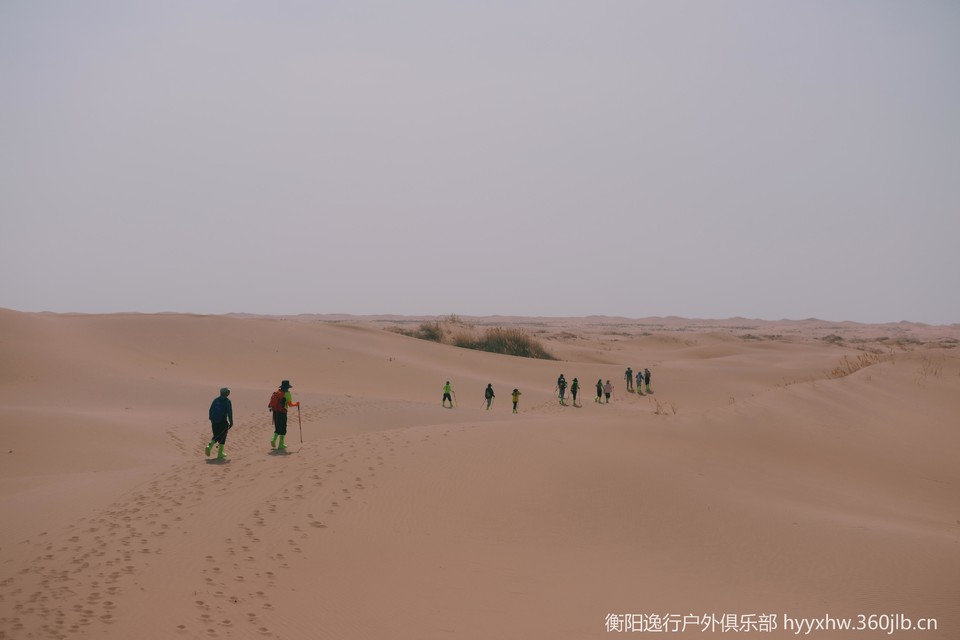 微信图片_20260407152841_419_5
