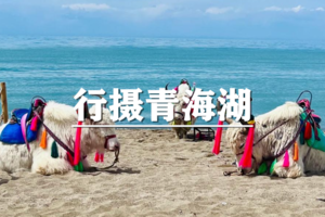 （已成行/多团期）6月6-12日：超多福利！航拍可可西里~行摄青海湖，翡翠湖，艾肯泉，水上雅丹，火星公路，7日游！