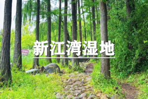 （已成行/周日徒步）5月24日：上海citywalk-新江湾湿地公园城市徒步
