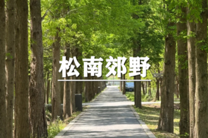 （周日徒步）5月31日：上海citywalk-松江松南郊野公园徒步活动