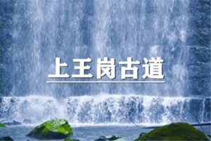 （曹杨路专线）6月21日：特价99元！宁波上王岗古道，野生版“九溪十八涧”