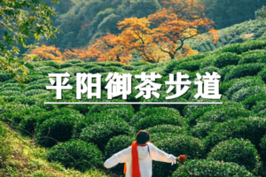 （曹杨路专线）6月19日：特价99元！访寺，祈福，吃斋，轻徒穿越平阳御茶步道