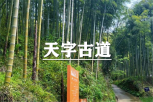 （龙华专线）6月20日：特价88元！新市镇品羊肉，轻徒天字古道，云中漫步看满山茶园