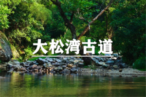 （龙华专线）6月20日：特价99元！浙版小乌孙，穿行于水陆中·大松湾古道