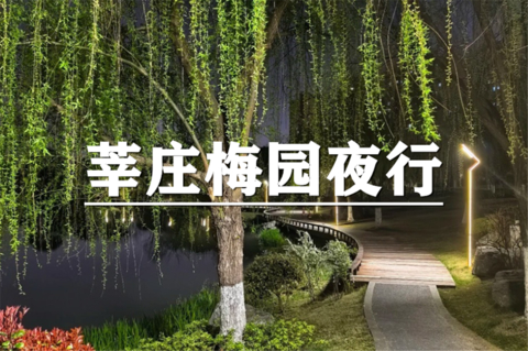 （周二夜徒）10月27日：上海citywalk-莘庄梅园夜行，漫步湖畔梅径，晚风拂面，沉浸式感受夜色
