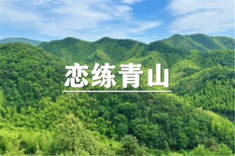 （汉中+曹杨）10月31日：特价99元！恋徒青山，徒步环浙步道，沉醉青山风光