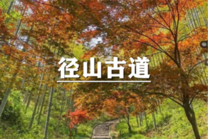  （已成行/七宝+颛桥）10月31日：特价99元！季节限定！秋行径山古道，祈福径分享山寺，深秋赏红叶银杏