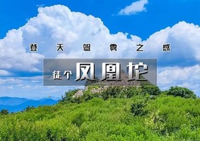 周末1日｜凤凰坨｜猕猴桃熟了の登天驾雾之感-杏树台-凤凰坨11公里穿越<初级> 