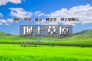 周末/端午2日｜坝上草原｜坝上正确打开方式の摄影、骑马、篝火、烤全羊、卡拉OK