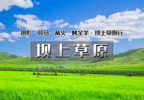 周末2日｜坝上草原｜坝上正确打开方式の摄影、骑马、篝火、烤全羊、卡拉OK