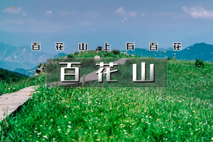 周末/端午1日｜百花山｜百花山上有百花の漫山鲜花-无边草甸-长长栈道-缭绕云雾