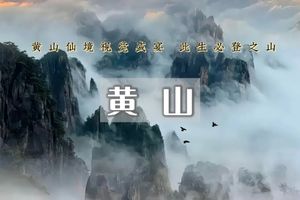 端午3日｜黄山｜大美徽州の宏村-木坑竹海-新安江山水画廊-屯溪老街-纯玩摄影