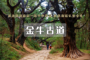 端午3日｜徒步古蜀道｜对话翠云廊-踏金牛古道-登剑门雄关の赴一场三千年蜀道徒步之约（可亲子）