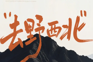 去野！西北2-8人小团 | 深度纯玩7天6晚丨2026超高性价比首选出游方式，经典丝路环线走法，小团出行更享自由！