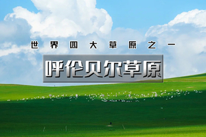 端午7天｜呼伦贝尔草原｜畅游呼伦贝尔大环线の阿尔山-呼伦贝尔草原-满洲里-额尔古纳-莫日格勒河-扎龙丹顶鹤放飞