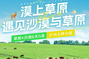 2026【漠上草原】6人封顶小拼团·沙漠草原双打卡·沙漠观景酒店·皇家草原·6天5晚拼小团