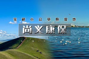 端午3天｜尚义康保｜冀蒙草原穿行の私藏小众草原湿地-回归原生态-畅游河北内蒙草原之