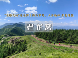 周末1日｜雨后摘蘑菇-穿林海行走高山草甸の采蘑菇季-老龙窝11公里环穿 