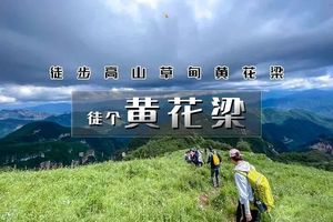 周末1日｜黄花梁｜芳草碧连天高山草甸-黄花梁9公里徒步<初级>
