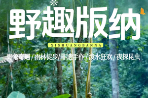 【野趣版纳】5天4晚热带雨林精品Mini团|野象谷 | 雨林徒步 | 傣族非遗手工 | 傣族园泼水狂欢 | 总佛寺 