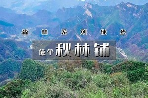 周末1日｜秋林铺｜森林徒步系列の秋林铺-百花山15公里<初中级>