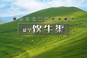 周六1日｜饮牛渠｜小众高山草甸秘境の饮牛渠-漫山野花+溪流牛羊+空中草原徒步穿越14公里<初级>