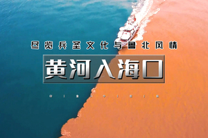 端午2.5天｜黄河入海口｜赏黄河口奇观『鸳鸯锅』-孤东海堤-黄河楼-魏氏庄园