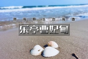 端午2天｜乐亭曹妃甸｜京郊版孤独的鲸の200多公里外的小众海滩-乘船出海捕鱼-多玛乐园摸鱼-滦州古城打卡