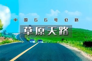 端午2日｜草原天路｜中国66号公路の坝上草原-七彩森林-骑马烤全羊-篝火晚会