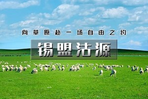 端午2日｜锡盟沽源｜内蒙河北双草原の人气打卡太仆寺旗牛奶湖-草原狼-草原九曲十八湾-篝火蹦迪-蒙古服