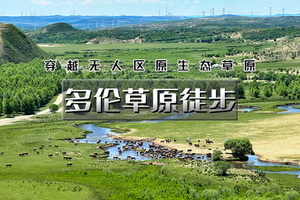 端午2.5天｜多伦草原徒步｜2天30公里行走多伦大草原深处-穿越草原阡陌-漫游沙地林海
