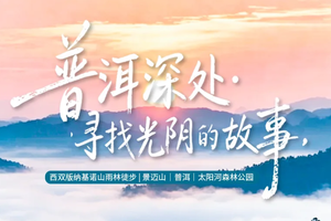 【普洱深处】2-8 人·5天4晚·西双版纳集散｜景迈山｜普洱｜太阳河森林公园｜咖啡庄园|基诺山