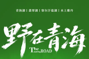 野在青海 | 精华深度 5天4晚｜2026探索苍茫大西北，报名即送单人青海湖漫步vlog+航拍，制霸朋友圈！