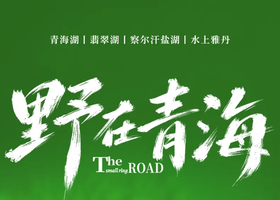 野在青海 | 精华深度 5天4晚｜2026探索苍茫大西北，报名即送单人青海湖漫步vlog+航拍，制霸朋友圈！