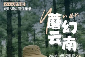“蘑”幻云南·山野探索记·Pro｜6日｜2-7人｜夏季云南专属，野生菌主题深度之旅，丽江+香格里拉+沙溪+大理