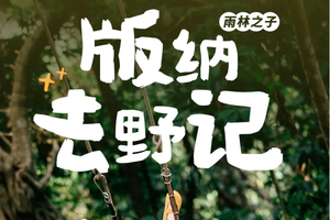 雨林之子·版纳去野记｜5日｜全网独家升级路线，版纳&普洱两地解散+雨林秘境+曼听公园+野象谷+傣族园+中科院植物园