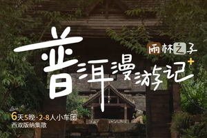 雨林之子·普洱漫游记+｜6日｜2-8人｜茶&咖啡&牛油果，三重风味体验，普洱+孟连+老达保+景迈山+西双版纳