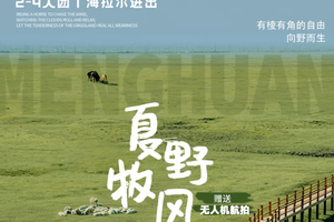 梦幻草原B线 | 呼伦贝尔天6天5晚丨海拉尔-莫日格勒河-根河-恩和-黑山头-满洲里
