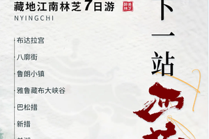 2026年下一站西藏7日6晚之旅