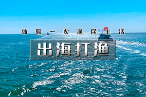 周末1日｜出海打渔｜渤海湾包船出海の体验一次渔民生活-现场加工品新鲜海鲜