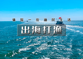 周末/中秋/国庆1日｜出海打渔｜做一日渔夫の享受肥美海鲜大餐-体验包一条船的游玩之旅
