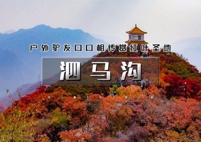 周末1日｜泗马沟｜户外驴友口口相传药王谷红叶の2026醉美赏红叶线路-6公里环线赏奇景胜境