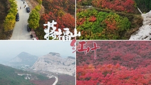 车行远方 | 秋季自驾 | 蒋福山天路自驾·浩然文化村·一日赏秋自驾游！
