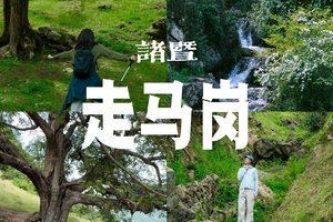 6/5日周五|【诸暨走马岗】闯入千年香榧林，探访精灵之森，诸暨走马岗，原始秘境徒步~