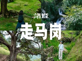 6/5日周五|【诸暨走马岗】闯入千年香榧林，探访精灵之森，诸暨走马岗，原始秘境徒步~