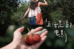 6.20-21日|【玩个痛快！漫游神仙居】杨梅采摘园实现杨梅自由 仙人谷漂流