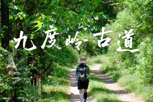 6/7日周日|【九度岭古道】隐秘的森林 杭版熊野古道