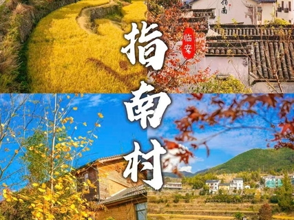 10/16日周五|【指南村】去看秋天里的浪漫童话
